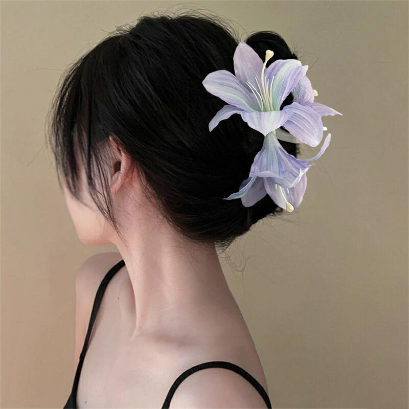 Новые акриловые заколки-крабы  – обзор и цена Travel Accessories Aesthetic